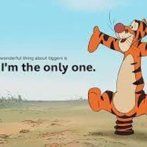 Meet your Posher, Joy